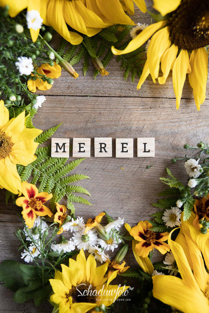 Merel_Naamfoto's_zonnebloem